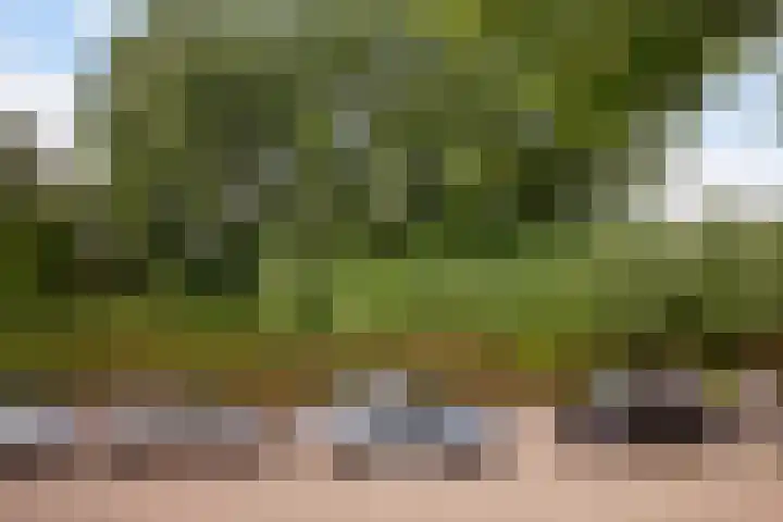 Linschoterweg 28 A Woerden thumbnail 27
