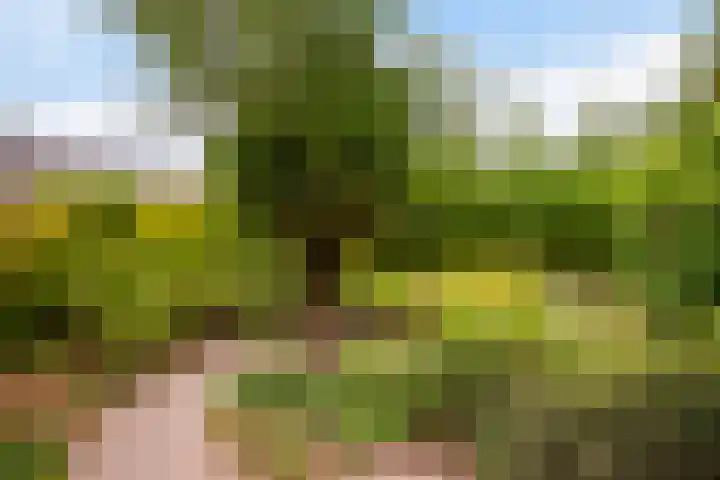 Linschoterweg 28 A Woerden thumbnail 38