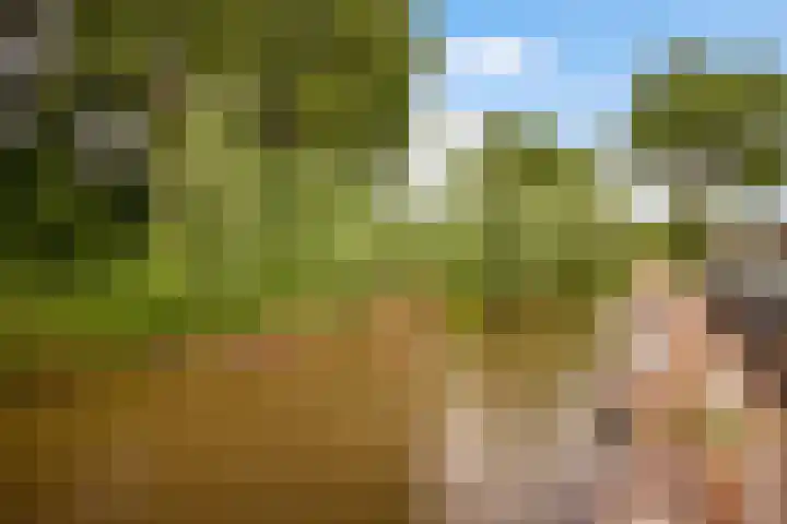 Linschoterweg 28 A Woerden thumbnail 43