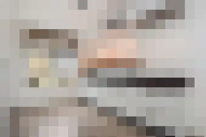 Lint van Ackerswoude 22 Pijnacker thumbnail 14