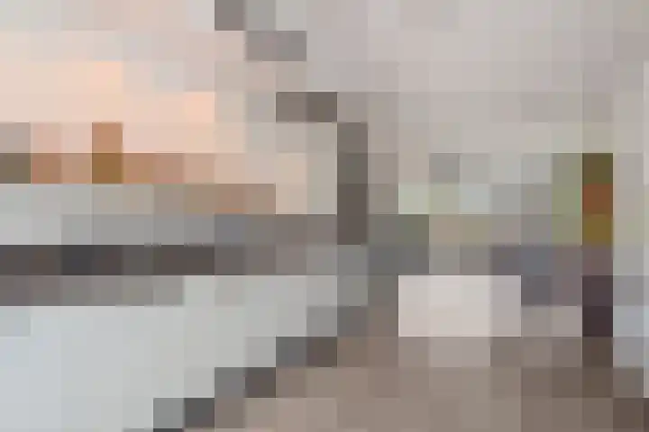 Lint van Ackerswoude 22 Pijnacker thumbnail 15