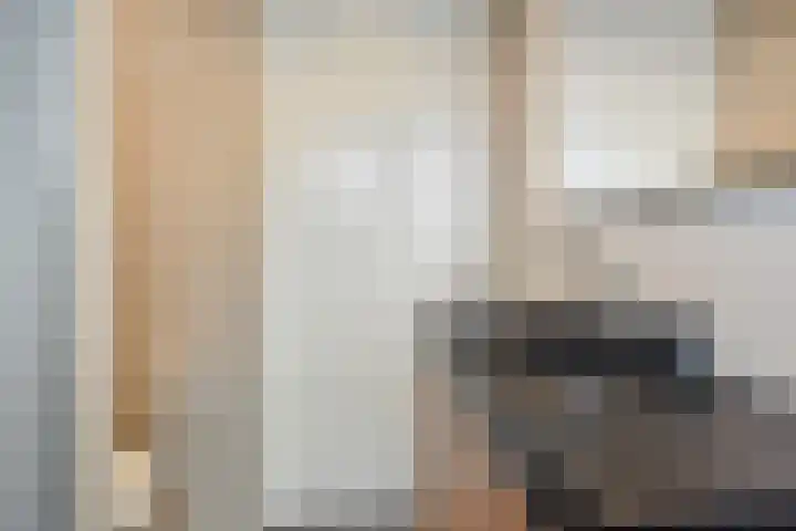 Lint van Ackerswoude 22 Pijnacker thumbnail 30