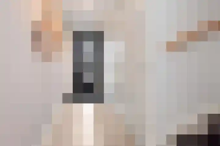 Lint van Ackerswoude 22 Pijnacker thumbnail 4