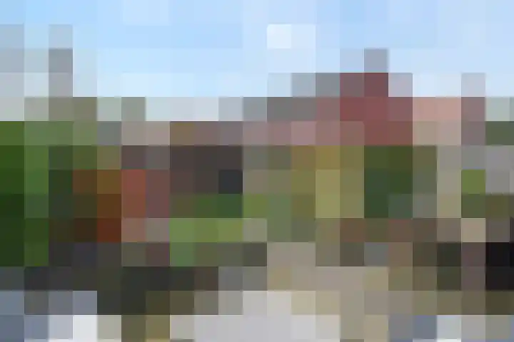 Lint van Ackerswoude 22 Pijnacker thumbnail 45