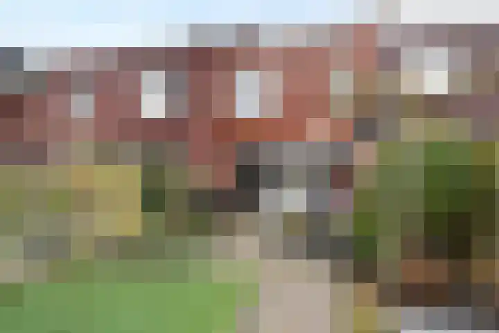 Lint van Ackerswoude 22 Pijnacker thumbnail 46