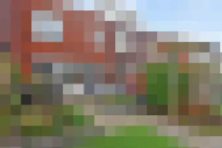 Lint van Ackerswoude 22 Pijnacker thumbnail 47