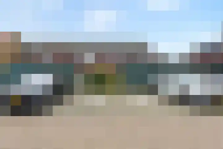 Lint van Ackerswoude 22 Pijnacker thumbnail 50