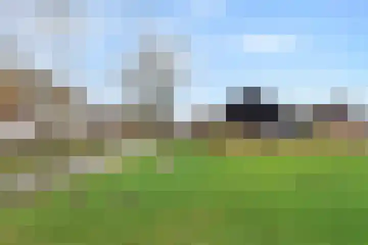 Lint van Ackerswoude 22 Pijnacker thumbnail 55
