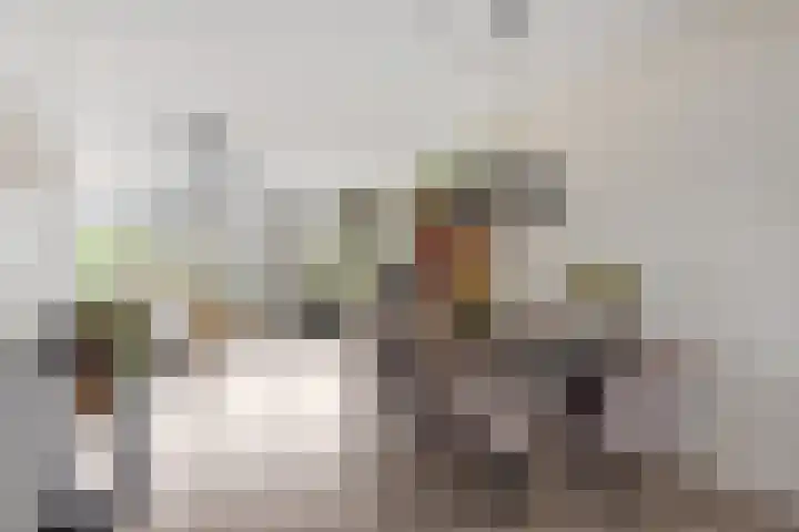 Lint van Ackerswoude 22 Pijnacker thumbnail 6
