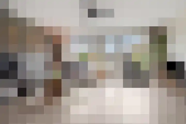 Lint van Ackerswoude 22 Pijnacker thumbnail 7