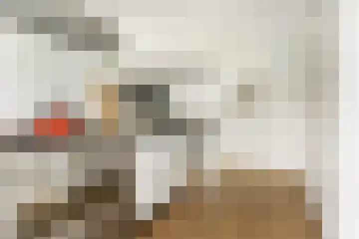 Lintdal 69 Groningen thumbnail 24