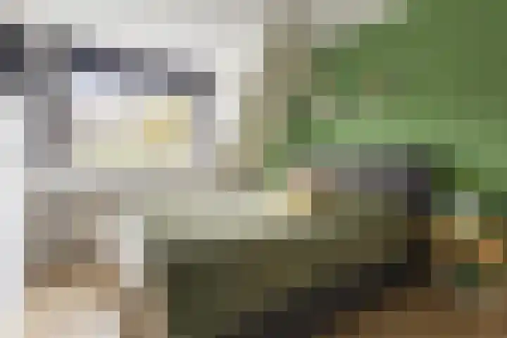 Lintdal 69 Groningen thumbnail 28