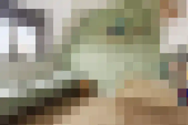 Lintdal 69 Groningen thumbnail 29