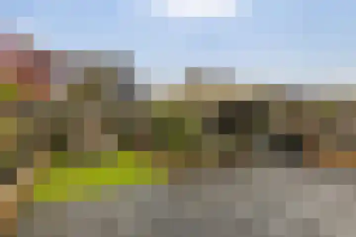 Lintdal 69 Groningen thumbnail 4