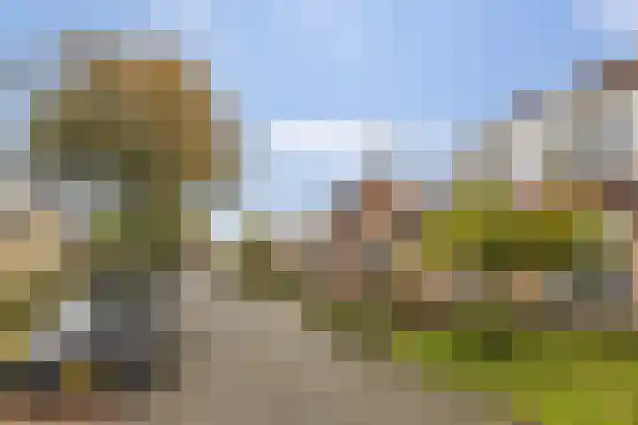 Lintdal 69 Groningen thumbnail 40