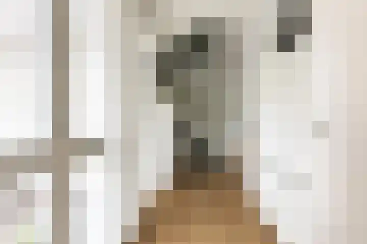 Lintdal 69 Groningen thumbnail 9