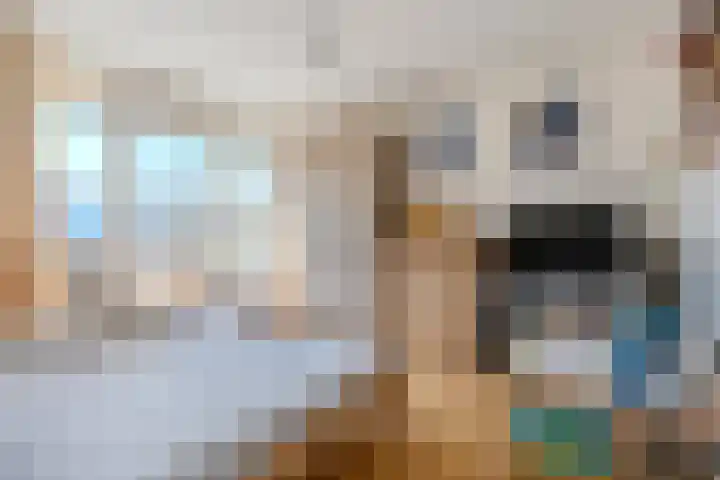 Linze 32 Geldrop thumbnail 26