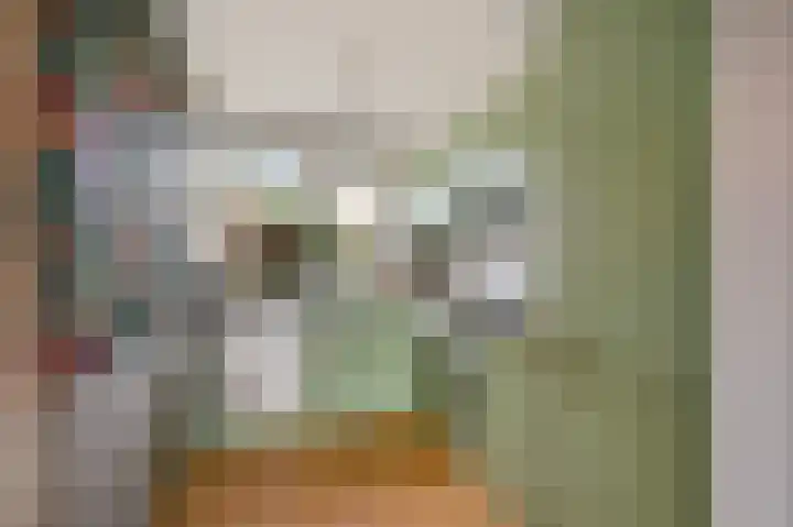 Linze 32 Geldrop thumbnail 30