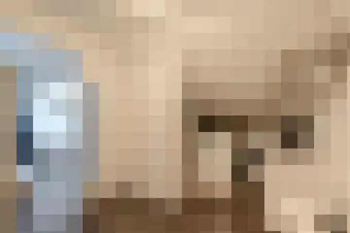 Linze 32 Geldrop thumbnail 32