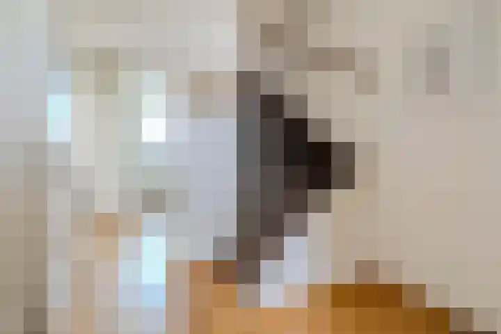 Linze 32 Geldrop thumbnail 6