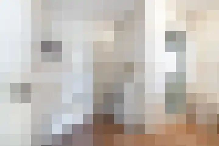 Linze 5 Ruurlo thumbnail 19
