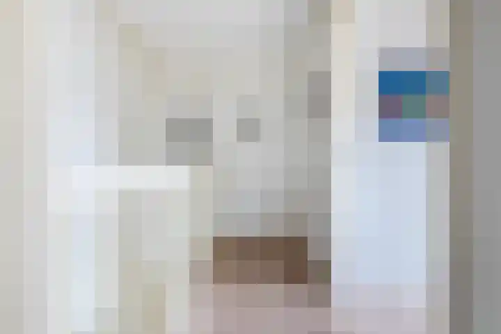 Linze 5 Ruurlo thumbnail 23