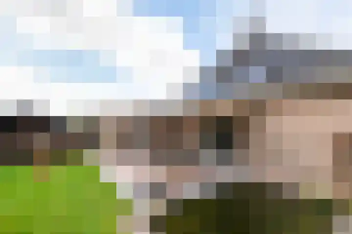 Linze 5 Ruurlo thumbnail 32