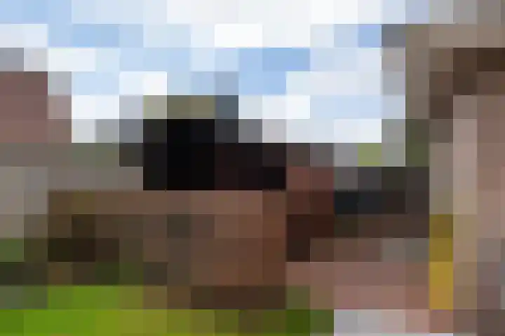 Linze 5 Ruurlo thumbnail 33