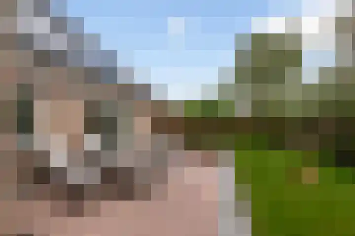 Linze 5 Ruurlo thumbnail 34