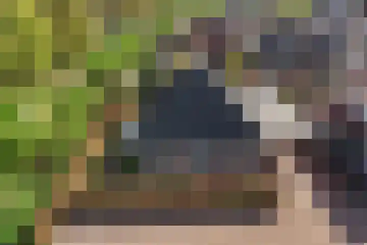 Linze 5 Ruurlo thumbnail 40