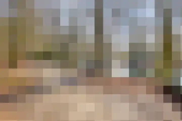 Lippe Biesterfeldstraat 15 2 Arnhem thumbnail 32
