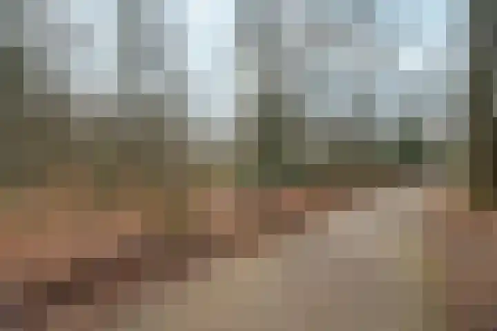 Lippe Biesterfeldstraat 9 3 Arnhem thumbnail 33