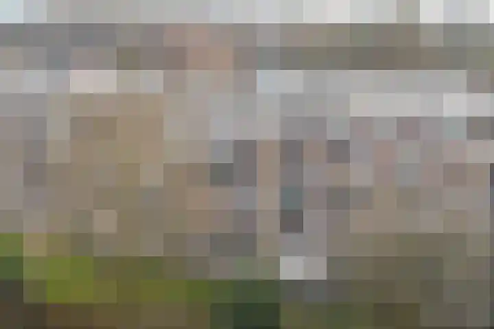 Lippe Biesterfeldstraat 9 3 Arnhem thumbnail 5