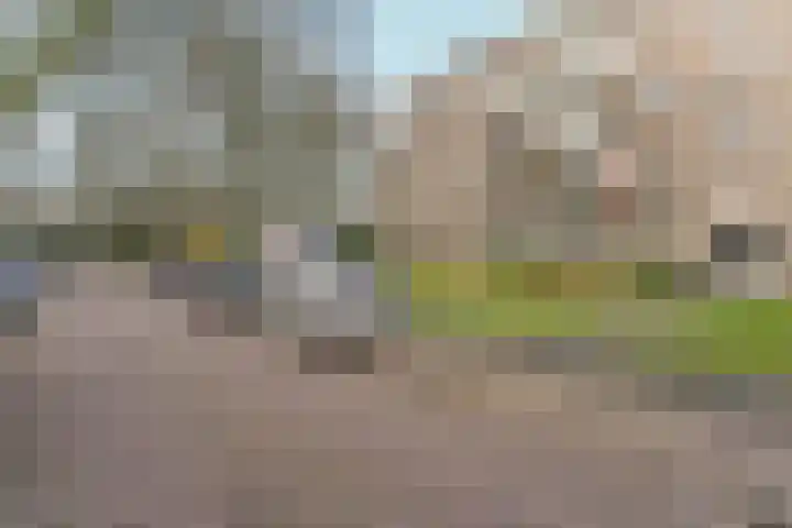 Lippe Biesterfeldstraat 9 3 Arnhem thumbnail 6