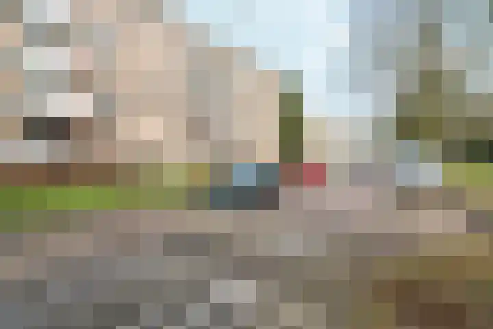 Lippe Biesterfeldstraat 9 3 Arnhem thumbnail 7