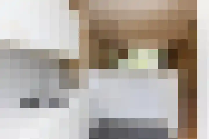 Lippepad 65 Assen thumbnail 18