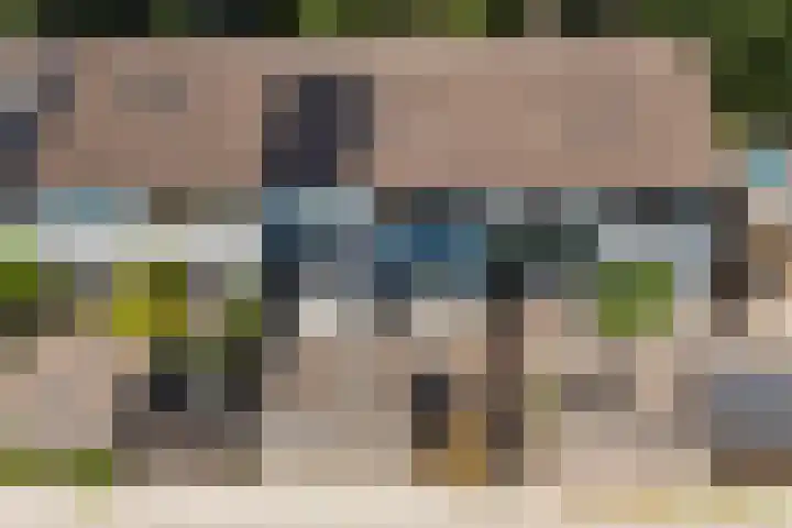 Lippepad 65 Assen foto 2