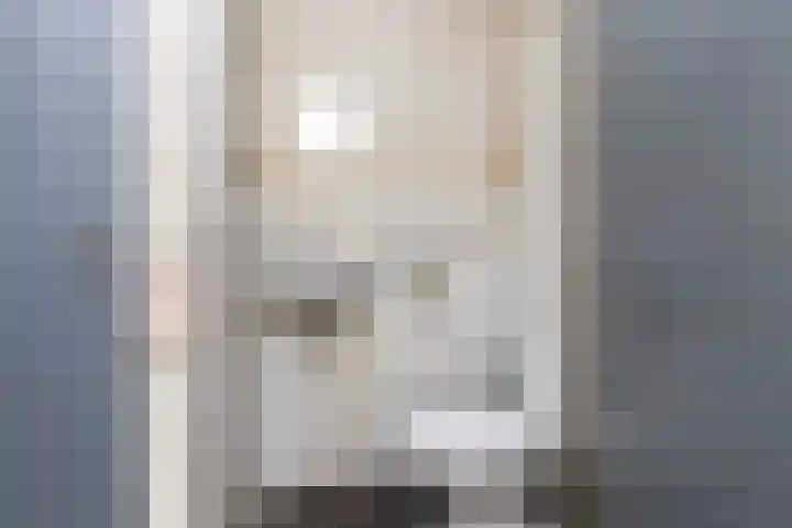 Lippepad 65 Assen thumbnail 21