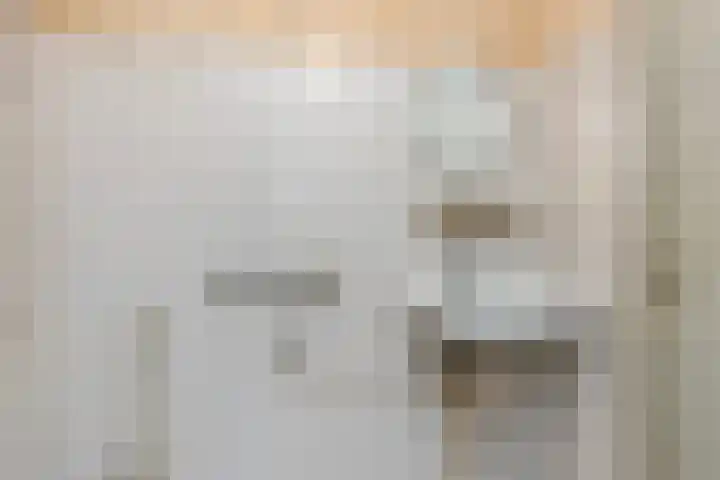 Lippepad 65 Assen thumbnail 28