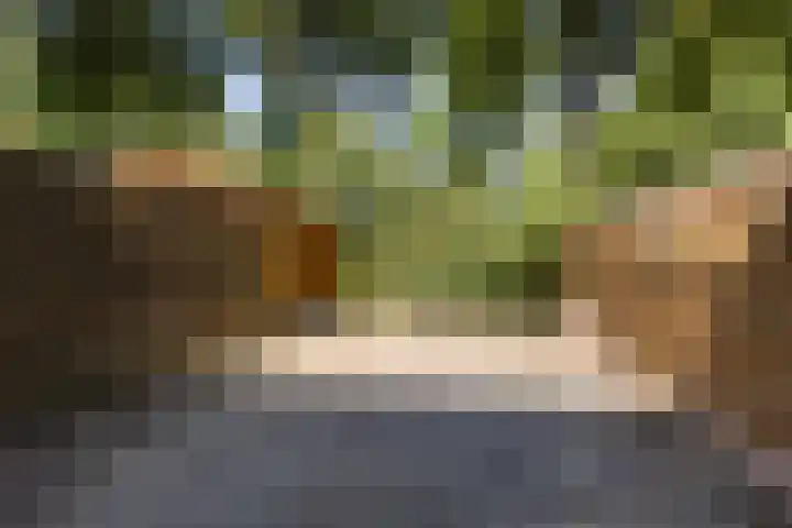 Lippepad 65 Assen foto 3