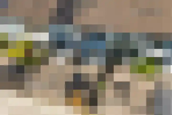 Lippepad 65 Assen thumbnail 35