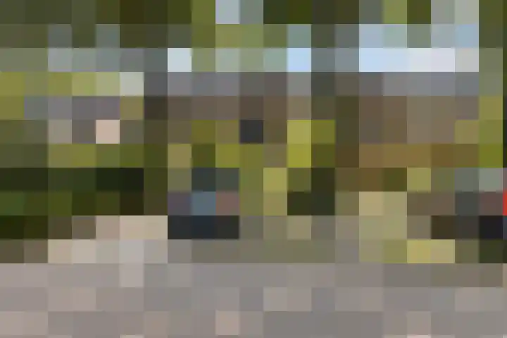 Lippepad 65 Assen thumbnail 36