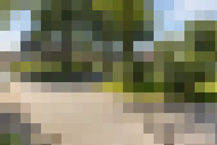 Lippepad 65 Assen thumbnail 4