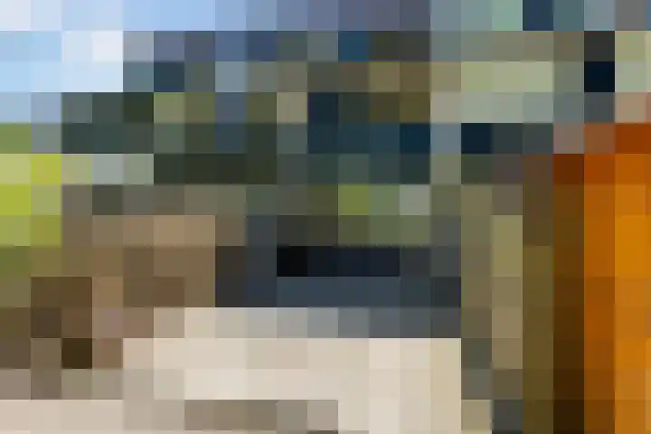 Lippepad 65 Assen thumbnail 42