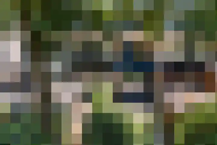 Lippepad 65 Assen thumbnail 5