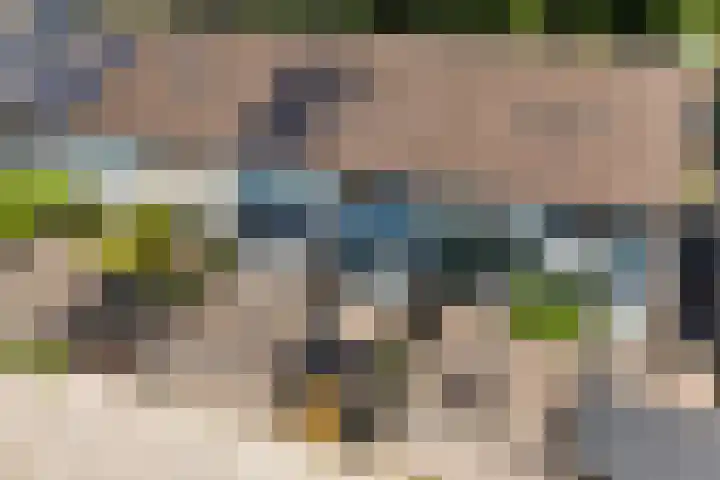 Lippepad 65 Assen thumbnail 6