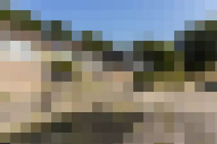 Lippepad 65 Assen thumbnail 7