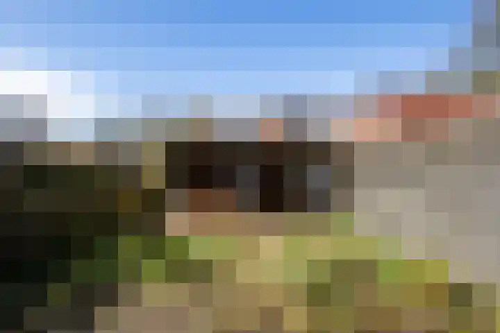 Lippingeslag 2 Emmen thumbnail 14