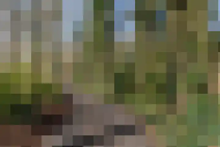 Lippingeslag 2 Emmen thumbnail 25