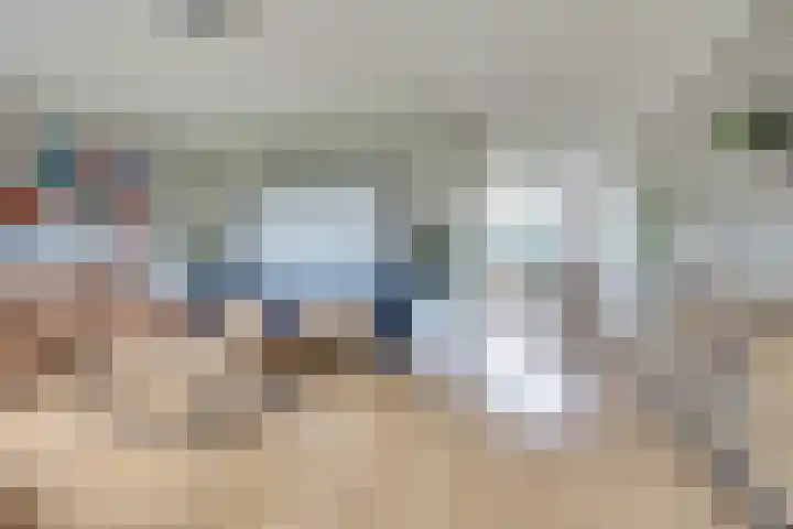 Lire 23 Dronten thumbnail 10